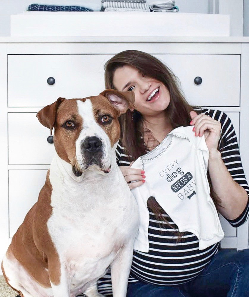 How To Prepare Dog For Baby
