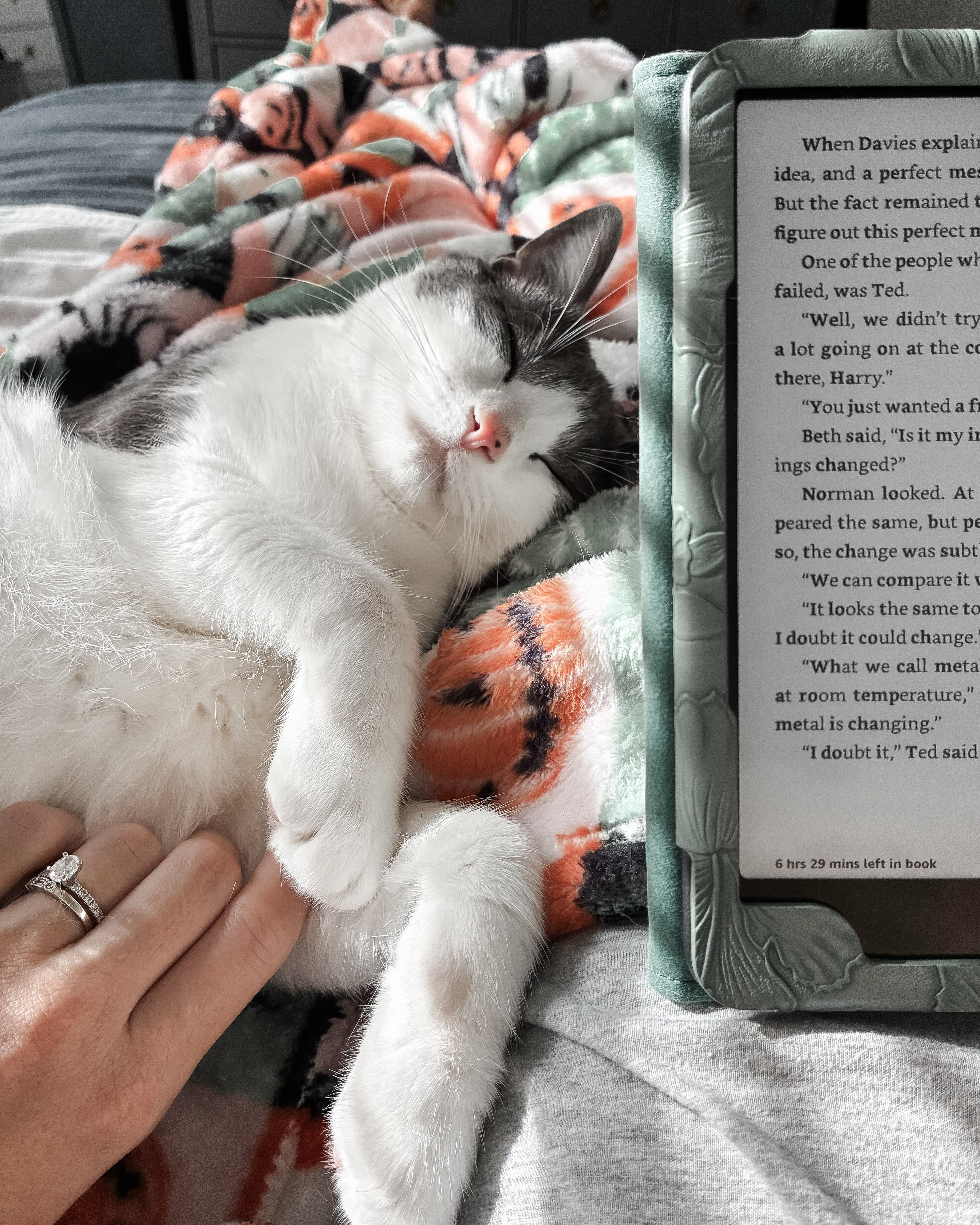 Good morning 📖 🐈 #catsandbooks
