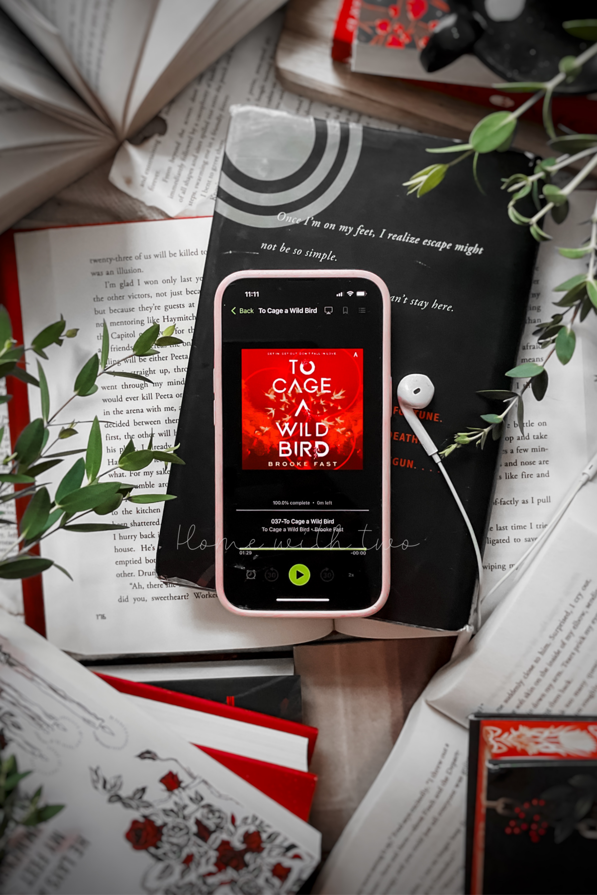 To Cage A Wild Bird by Brooke Fast book cover