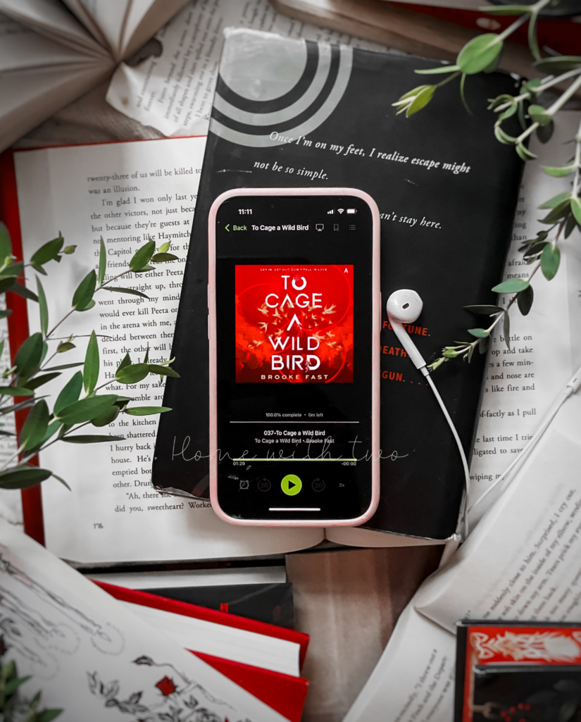 To Cage A Wild Bird by Brooke Fast book cover