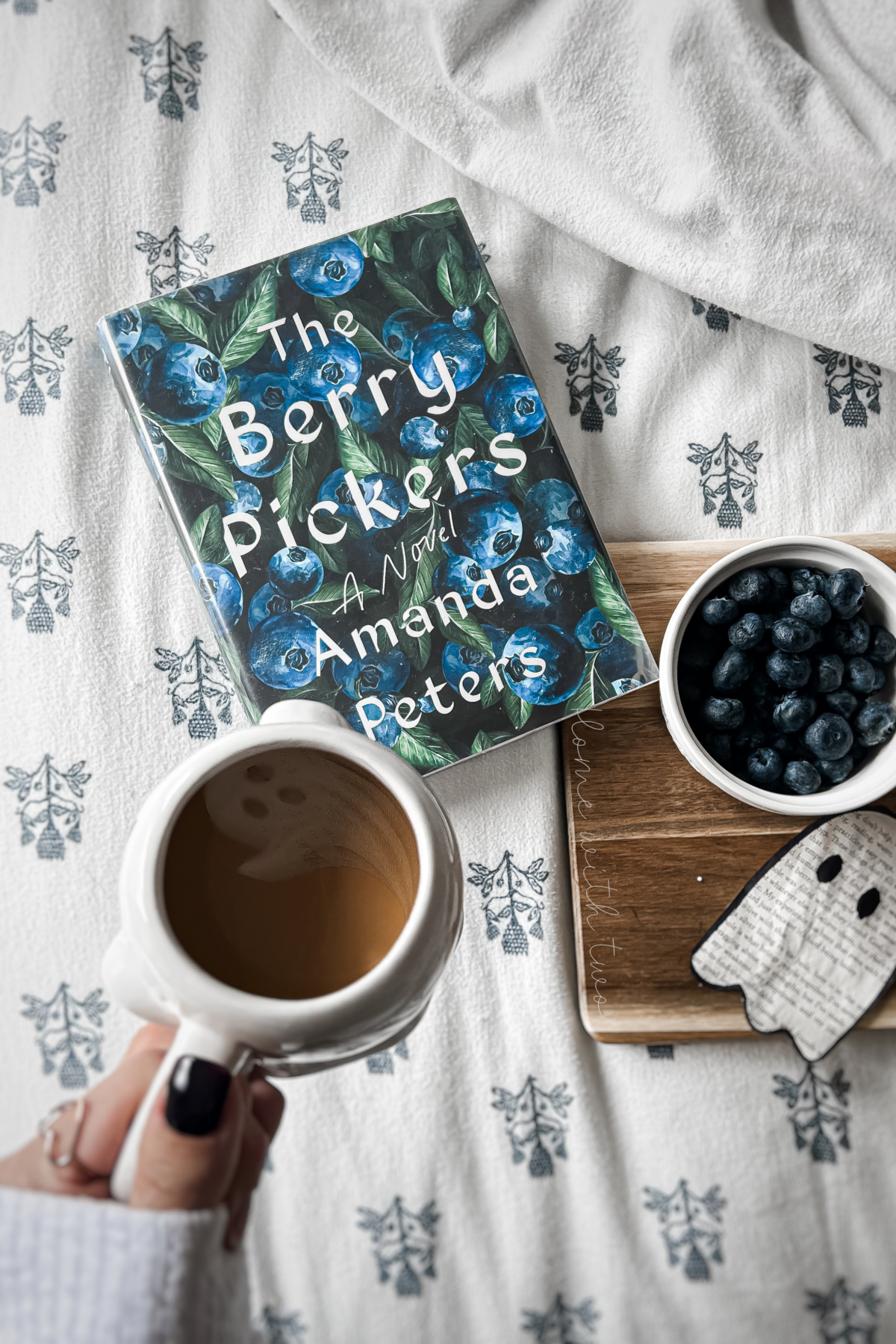 The Berry Pickers by Amanda Peters book cover