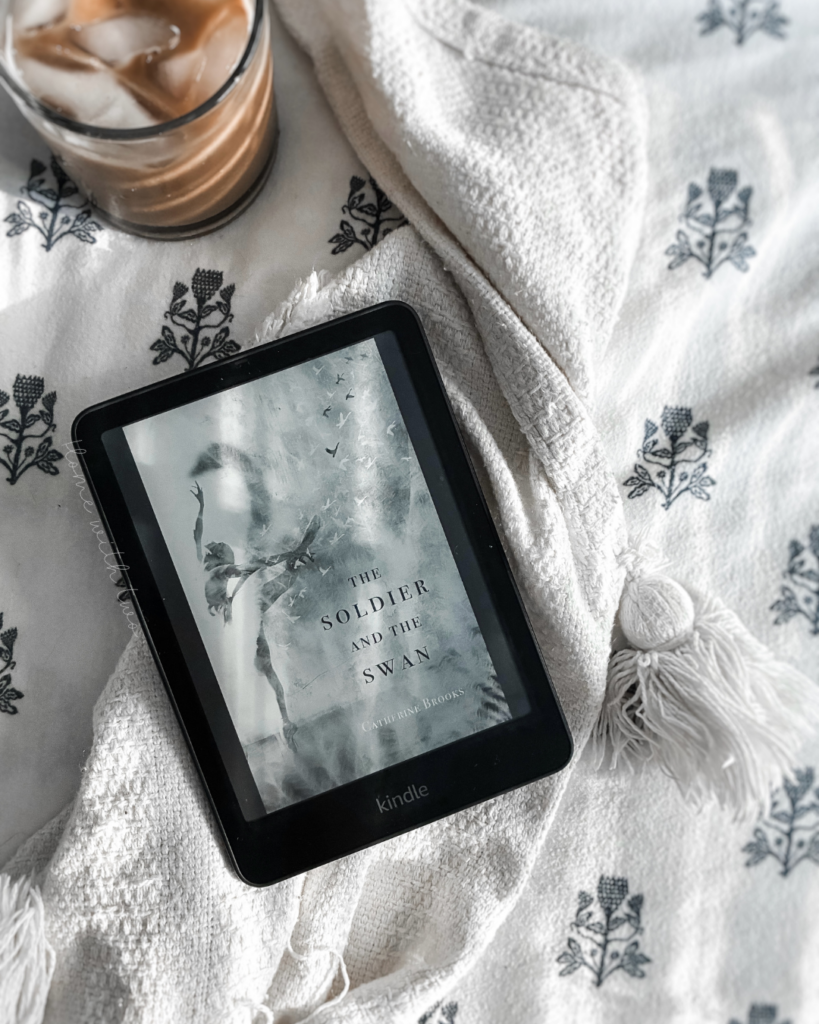The Soldier and the Swan by Catherine Brooks book cover