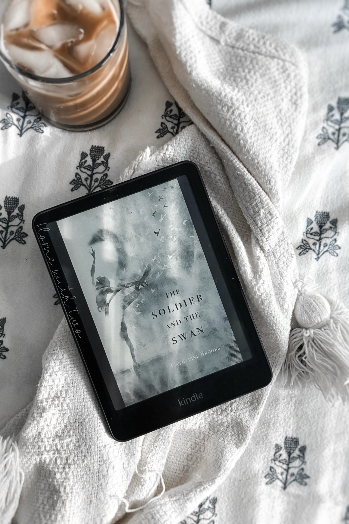 The Soldier and the Swan by Catherine Brooks book cover