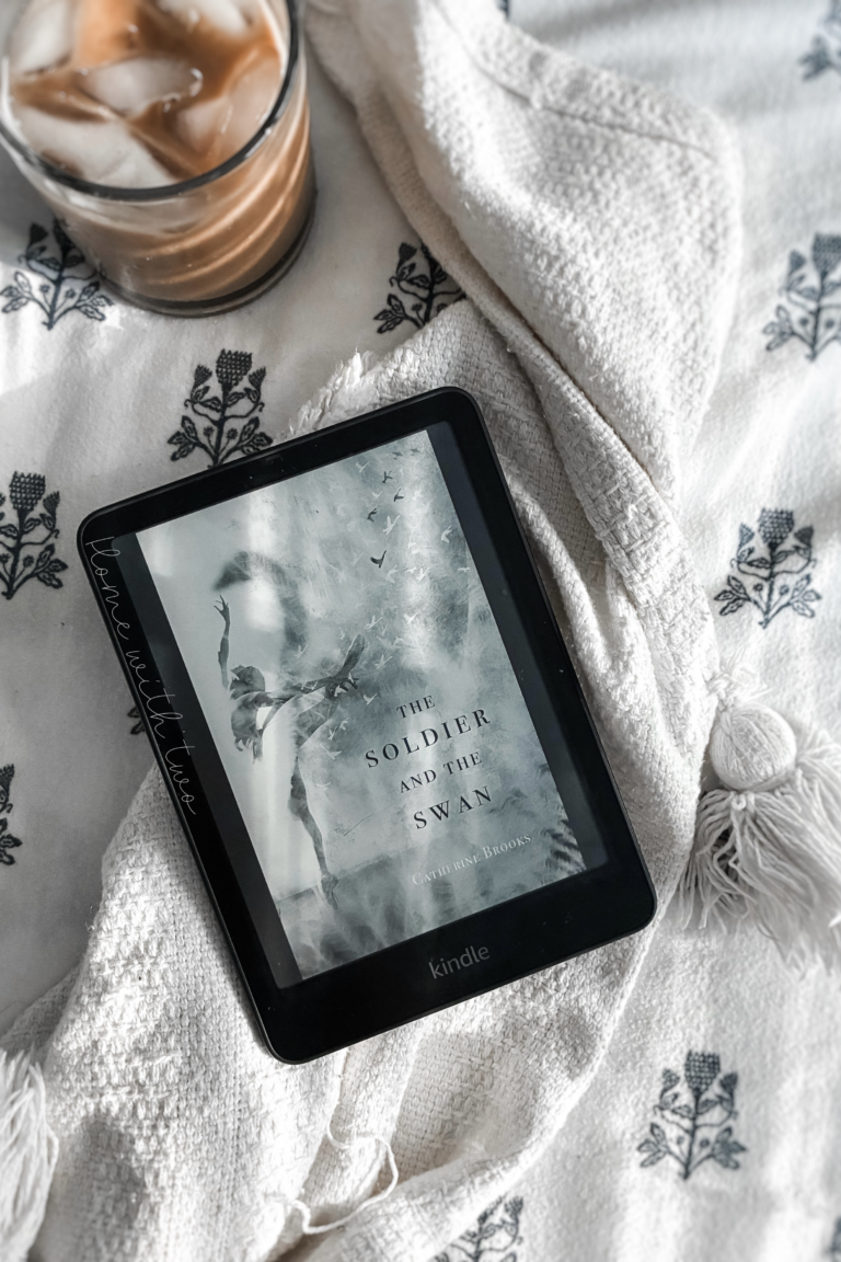 The Soldier and the Swan by Catherine Brooks book cover
