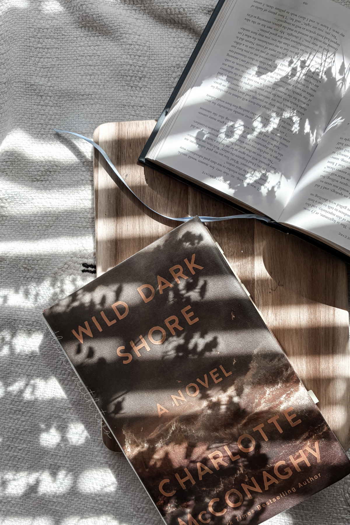 Wild Dark Shore book cover and Jane Eyre book cover