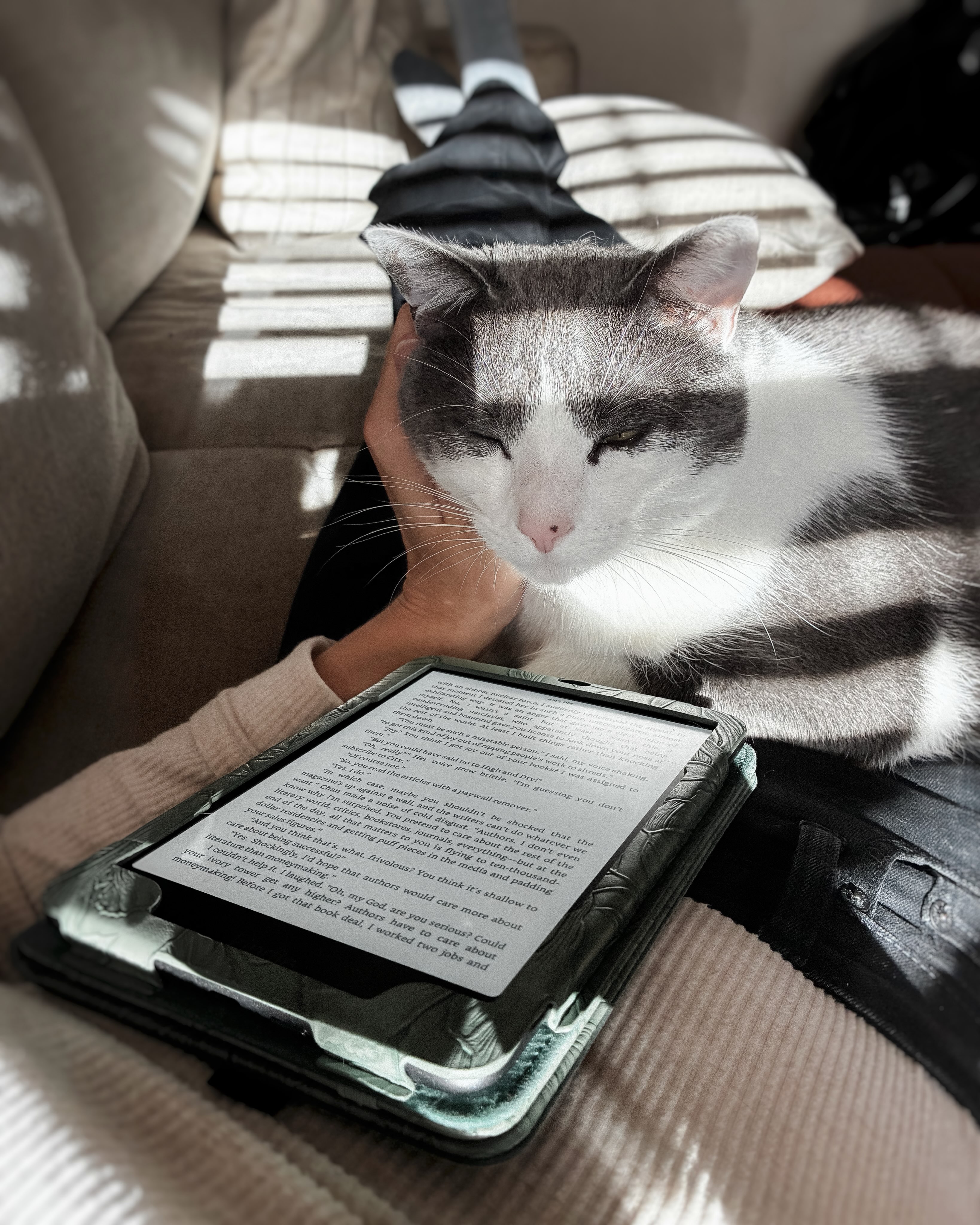 boooops and books 🐈‍⬛ post dinner snuggles…

📖 #currentlyreading Bad Words by @rioghnachrobinson 

#arc by @netgalley and @stmartinspress 

#booksandcats #catsandbooks #books