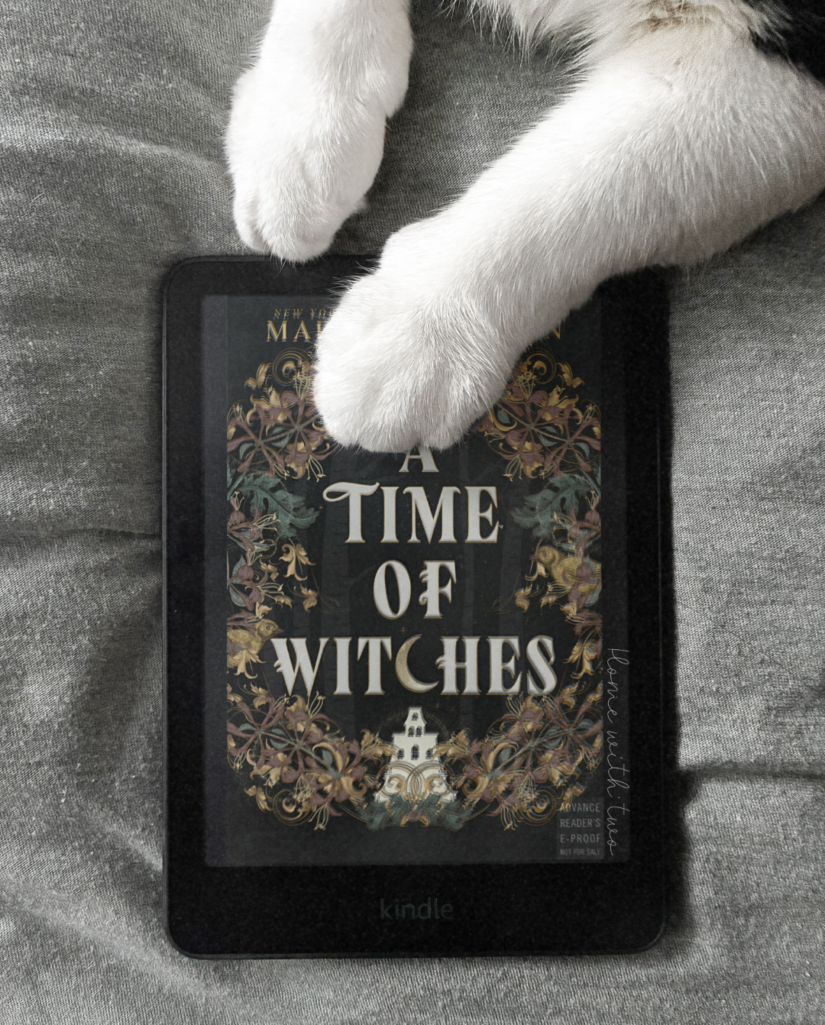 A Time of Witches by Madeline Martin book cover