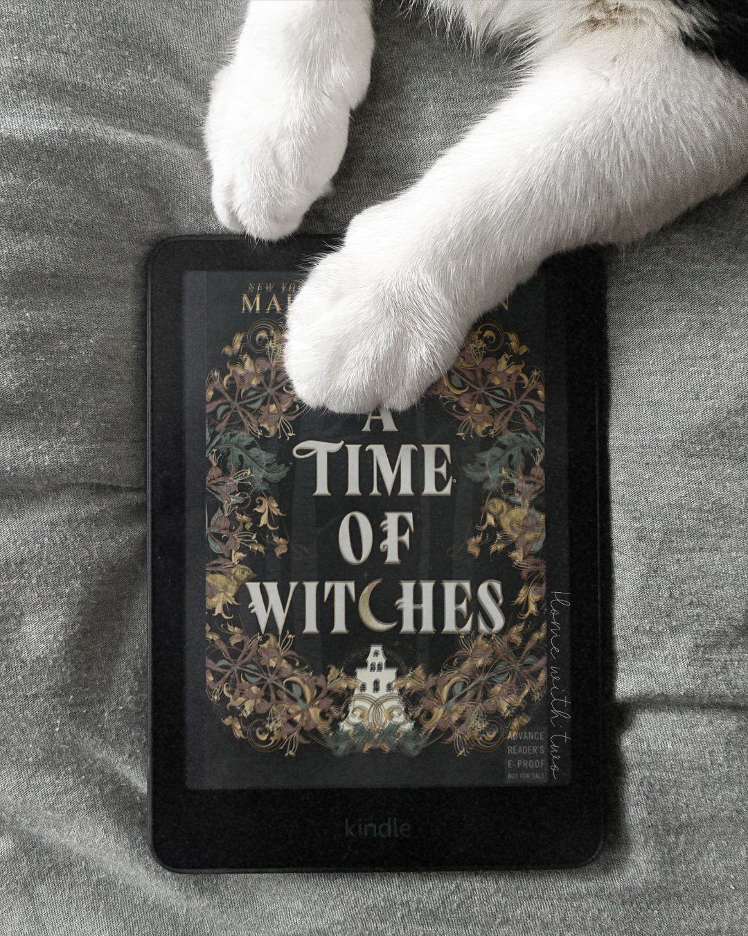A Time of Witches by Madeline Martin book cover